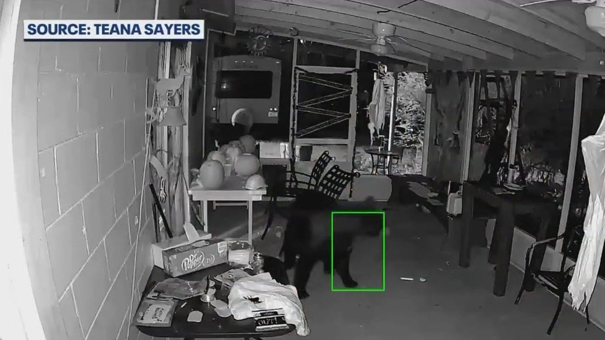Leesburg family fed up with bear burglars